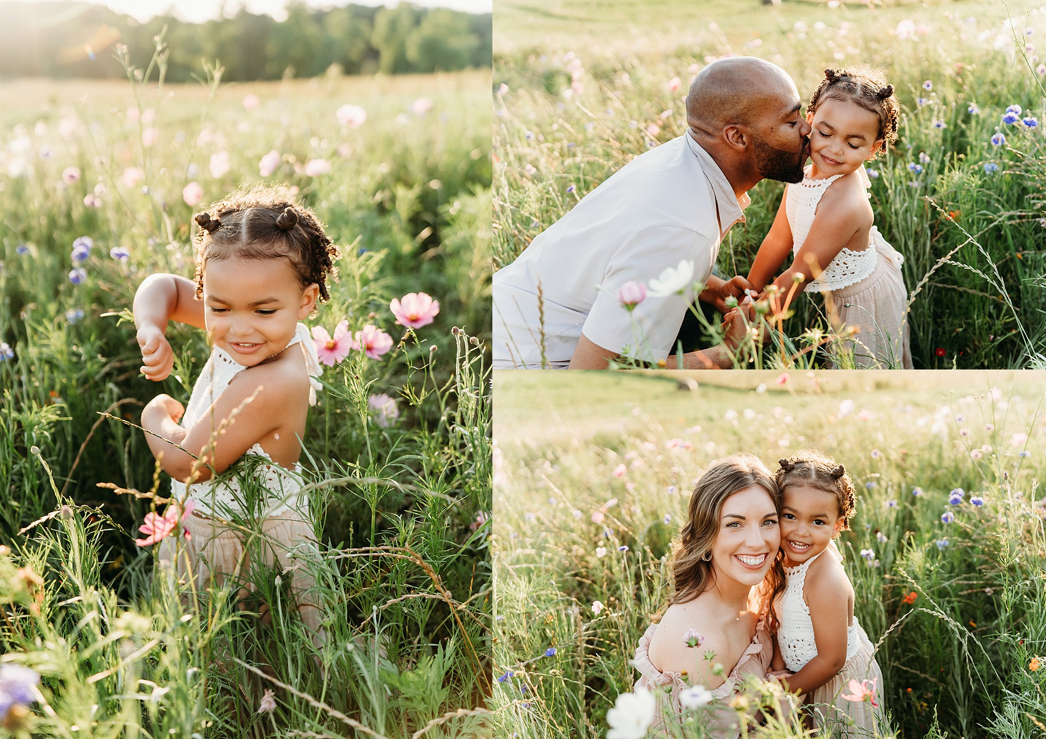 Golden Hour in the Wildflower Field